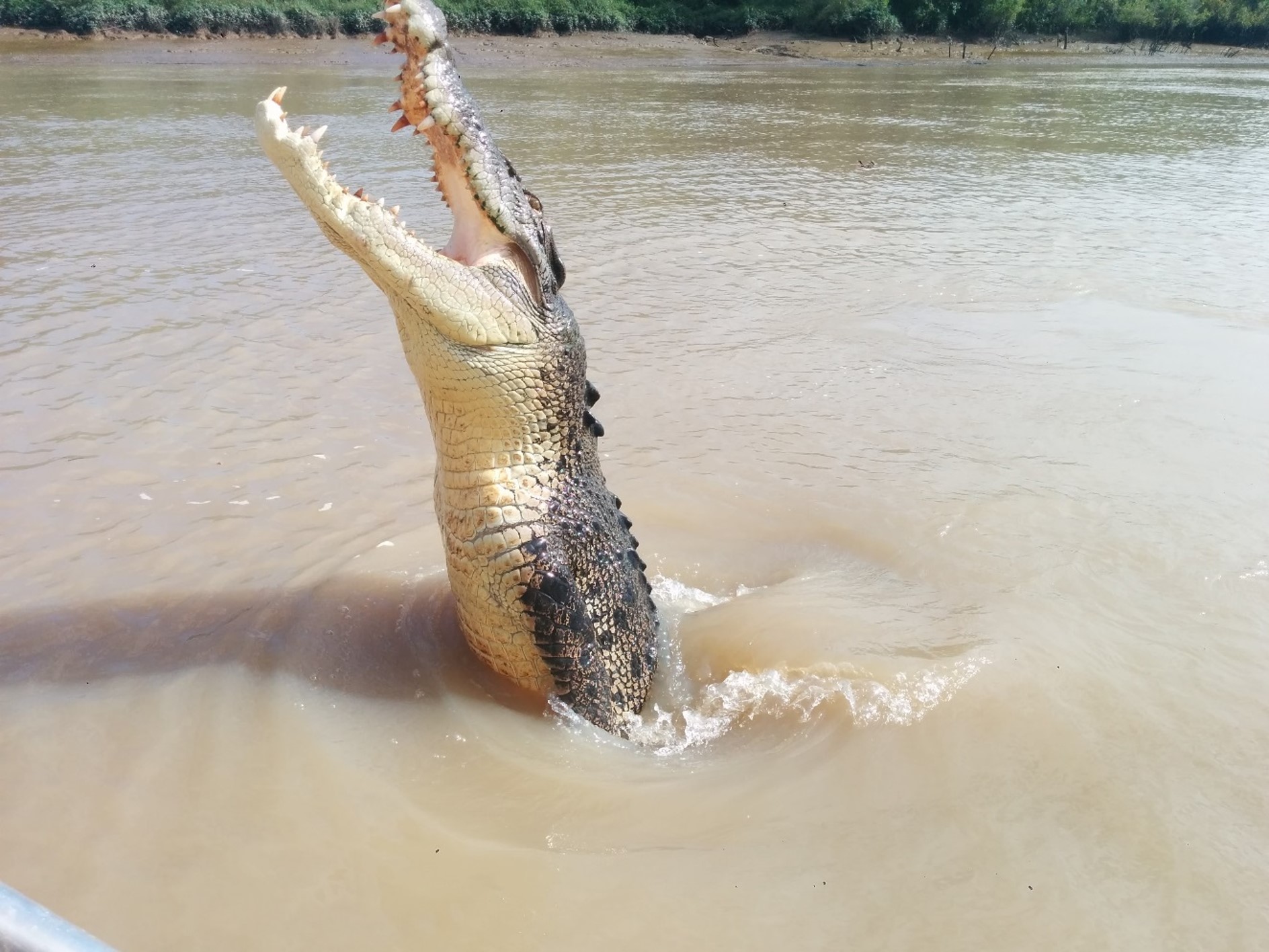 Drive Northern Territory: from Uluru to Darwin — 14
